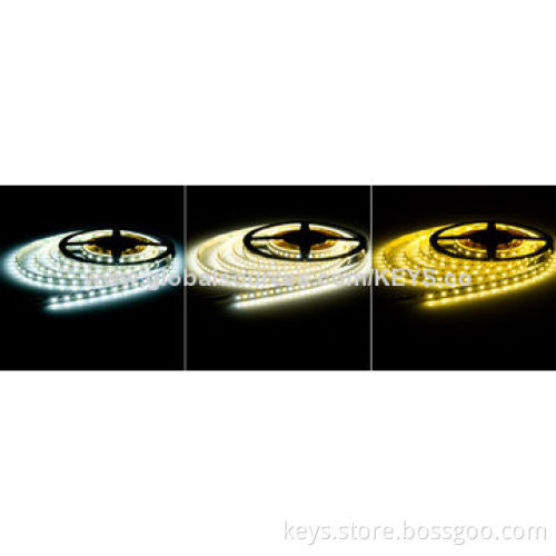 Single Chip LED 3528 (Warm White/White) 600 LEDs Color Temperature Adjustment LED Flexible Strip